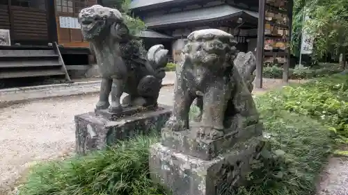 雄琴神社の狛犬