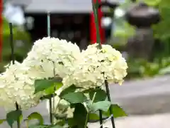 山家神社の自然