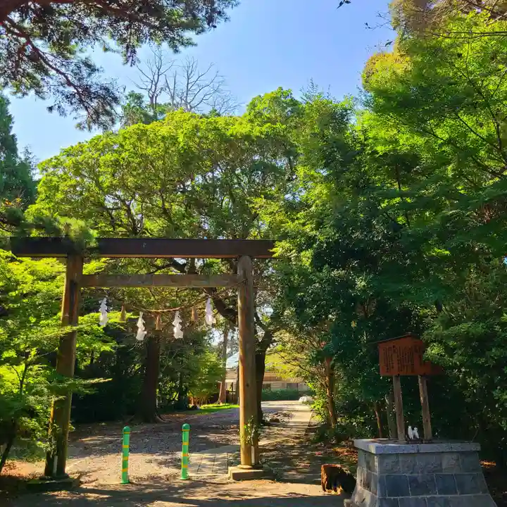 矢奈比賣神社(見付天神)(静岡県)