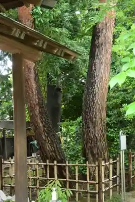 祇園寺(東京都)