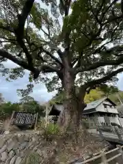 安楽寺(静岡県)