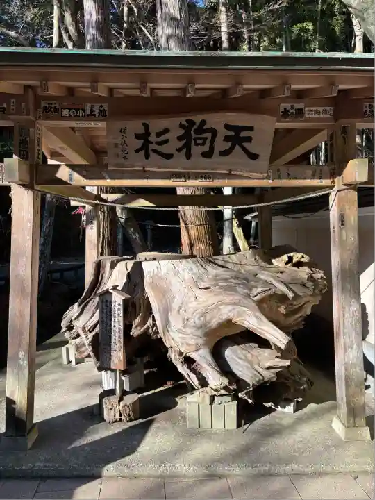 目の霊山 油山寺(静岡県)