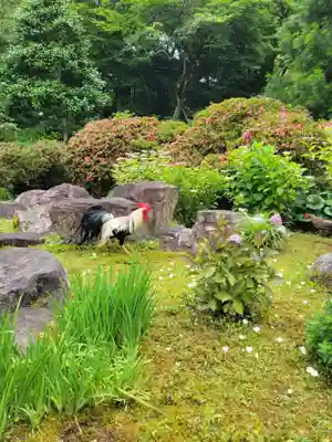 観音寺(京都府)