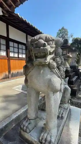 住吉神社の狛犬