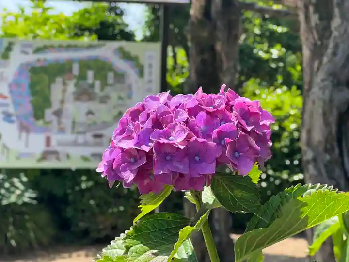 粟井神社の自然