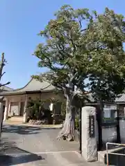 長田寺の建物その他