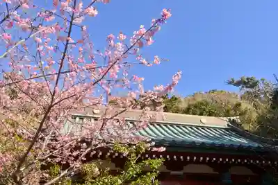 洲崎神社(千葉県)