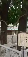 千住神社の自然