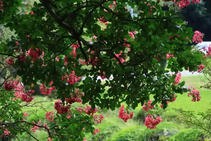 鹿島大神宮の庭園