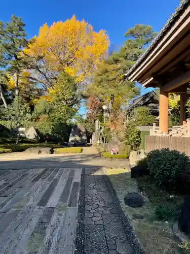 金剛院（仏性寺）(東京都)