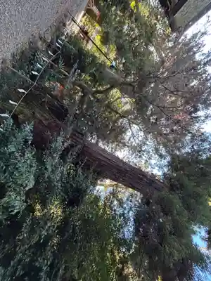 香取神宮(千葉県)