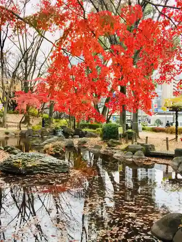 増上寺塔頭 三縁山 宝珠院の庭園