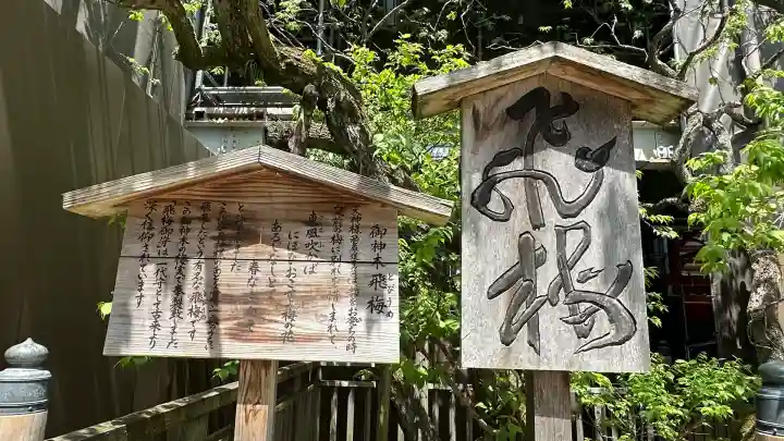 太宰府天満宮の自然
