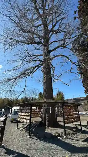 秋保神社(宮城県)