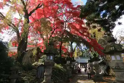 神炊館神社 ⁂奥州須賀川総鎮守⁂の本殿・本堂