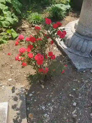 因起稲荷神社(群馬県)