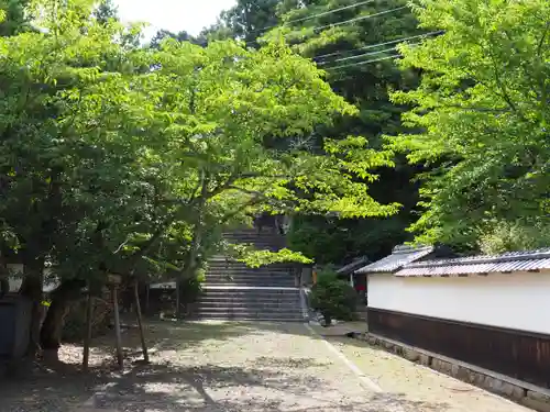 圓隆寺(京都府)