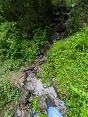 加蘇山神社 奥ノ宮の自然