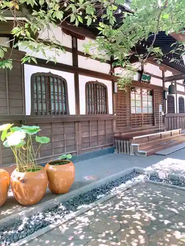 泥牛庵の本殿・本堂