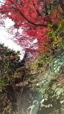 くろ谷 金戒光明寺(京都府)