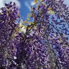 白鷺神社の自然