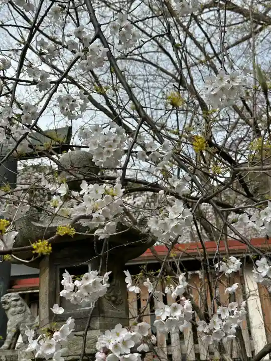 金崎宮(福井県)