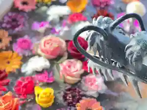 札幌諏訪神社の手水舎(2022年01月30日(日) 09時47分01秒投稿)