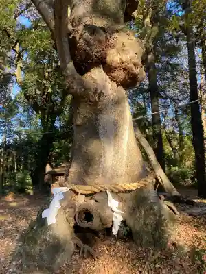 中村八幡宮(栃木県)