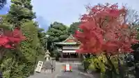 賀茂波爾神社(賀茂御祖神社境外摂社)(京都府)