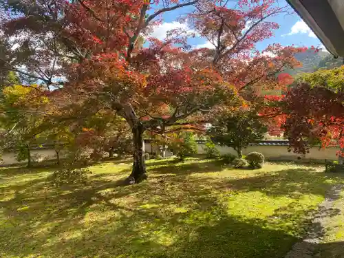 三寶寺(兵庫県)