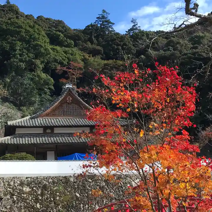 瀧安寺の本殿・本堂