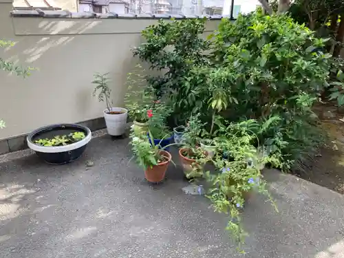 真成院(東京都)