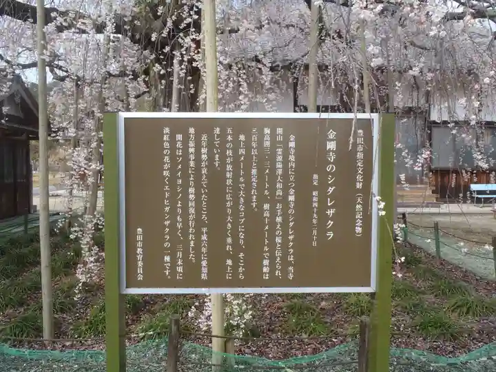 金剛寺(愛知県)