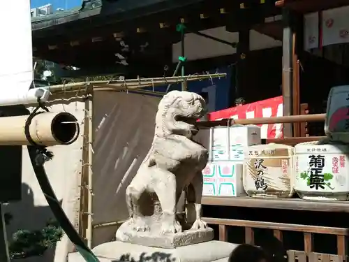 大阪天満宮の狛犬