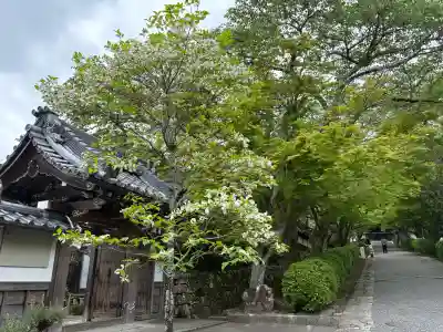 西教寺(滋賀県)