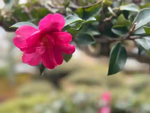 西方山極楽寺(岐阜県)