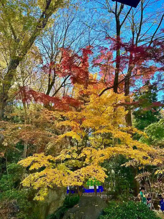 大國魂神社(東京都)