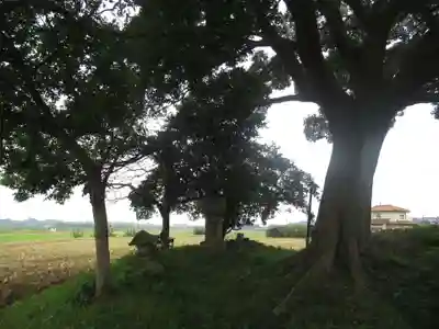 裏つくば、恋瀬川沿いの神社(茨城県)