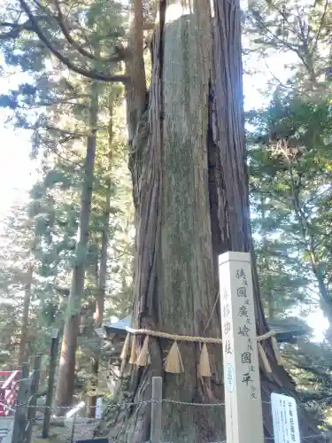鷲子山上神社(茨城県)