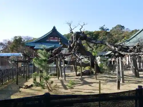 大光院 新田寺の建物その他