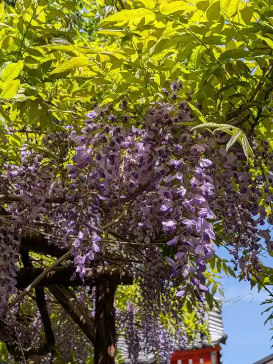 藤神稲荷神社(東京都)