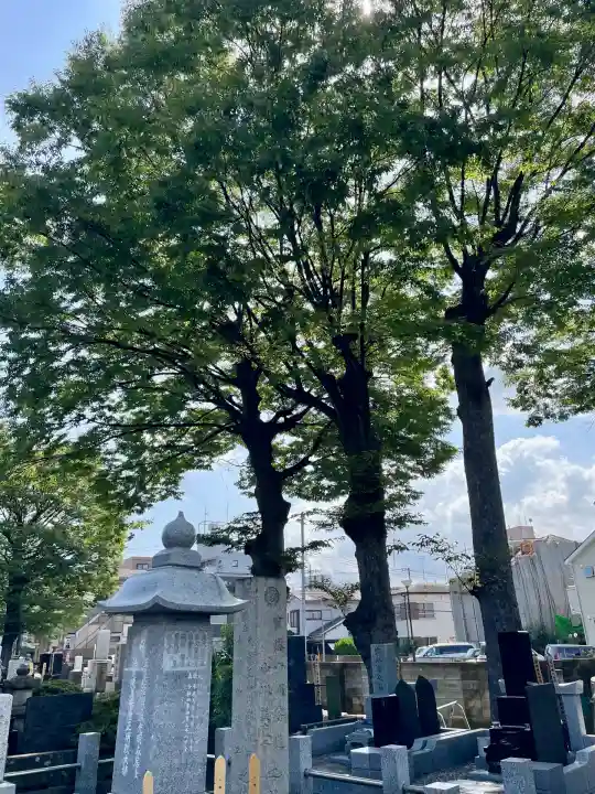 泉沢寺(神奈川県)