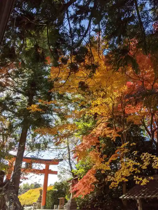 高鴨神社(奈良県)