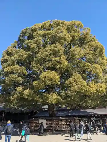 明治神宮(東京都)
