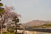 無量寺(愛媛県)