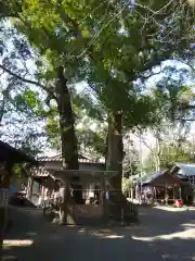 河邊七種神社の自然