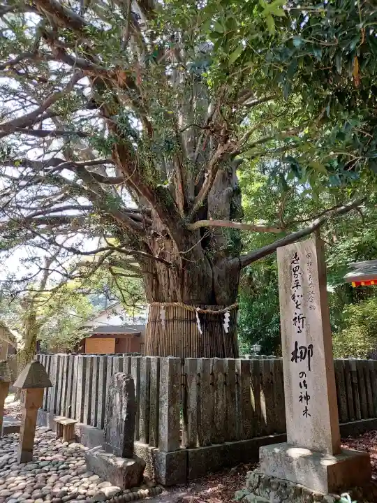 熊野速玉大社の{uncategorized: "未分類", other: "その他", undefined: "問題あり", building: "その他建物", grave: "お墓", sacred_gate: "鳥居", guardian: "狛犬", statue: "像", buddha: "仏像", history: "歴史", nature: "自然", garden: "庭園", animal: "動物", pagoda: "塔", temizu: "手水舎", mountain_gate: "山門・神門", sanctuary: "本殿・本堂", subordinate: "末社・摂社", art: "芸術", scenery: "景色", jizo: "地蔵", ema: "絵馬", goshuin: "御朱印", omikuji: "おみくじ", items: "授与品その他", amulet: "お守り", goshuincho: "御朱印帳", eats: "食事", festival: "お祭り", votive_dance: "神楽", shichigosan: "七五三参", wedding: "結婚式", experience: "体験その他", initially: "初詣", around: "周辺", anti_infection: "感染症対策"}