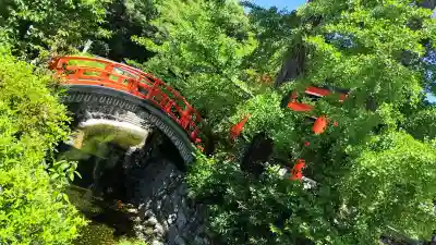 賀茂御祖神社(下鴨神社)(京都府)