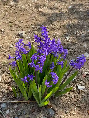 境香取神社の自然