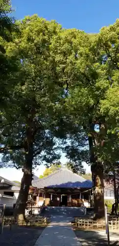 弘法寺の本殿・本堂